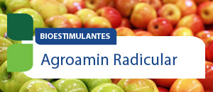 Agroamin RADICULAR